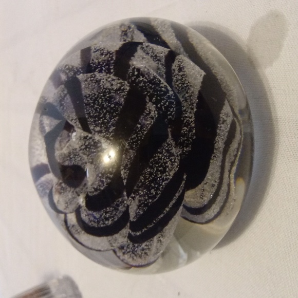ClearGlass Art Paperweight